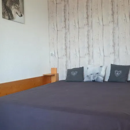 Διαμέρισμα 2 Pieces 6 Pers, Pres Des Pistes, Casier A Ski, Wifi, Parking Opt. - Fr-1-411-92
